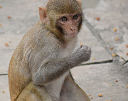 81dbf30e3676a678e87ef237f38b6497