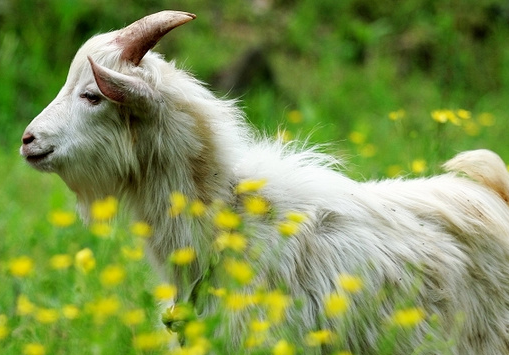 86394a4fa90201f0b2deca4c6009622c