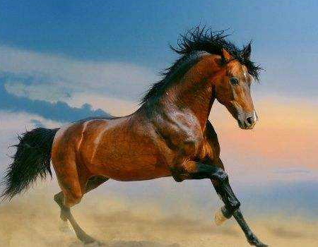 88125b7995e0b231d2b6d7c9f39a6edf