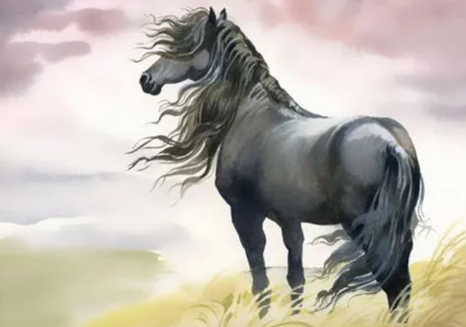 88bcdae95554cdcdacc8fea208e53162