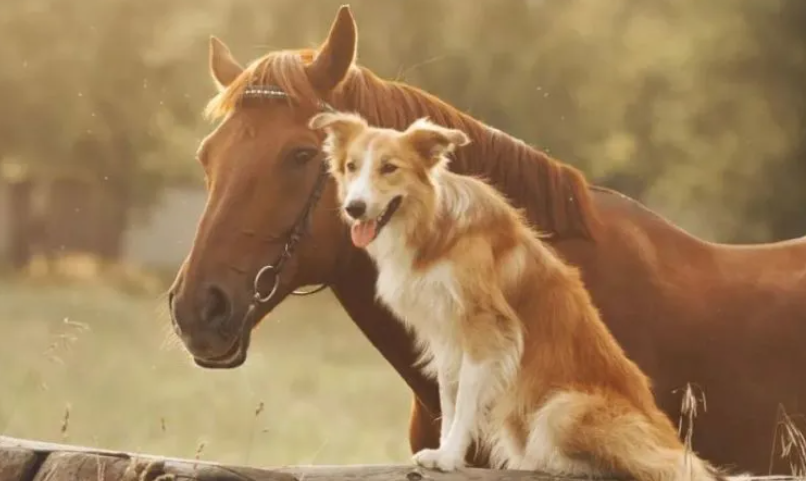 912b2d56d349fc7e264d41085e12bb19