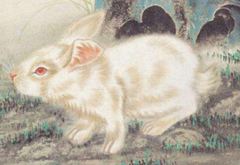 942e456ab21cc5df5f5c1e4de122b50a