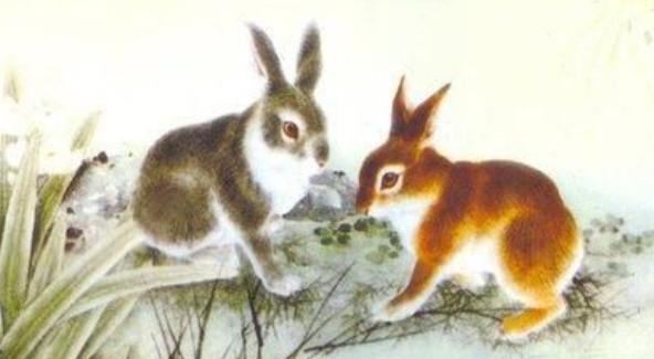 971f46275612efacc2925322f5e76e0a