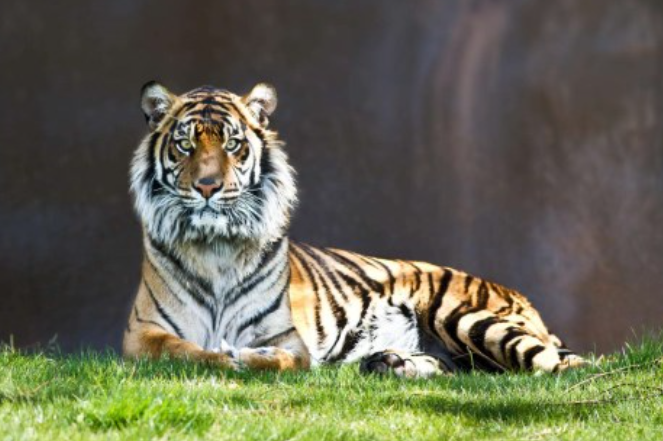 99e7de2f073c2aa639cf9dd4443f8b0b