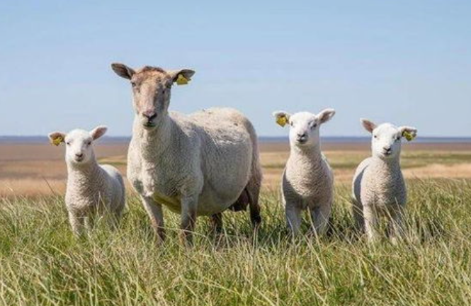 9d218f4f27f682bb5f3a7635579a3edf