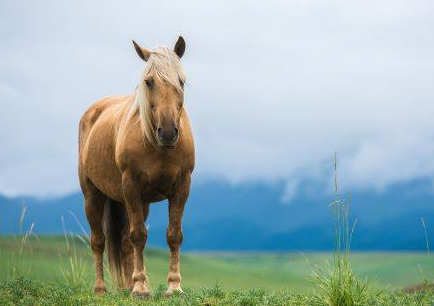 a03ddfc7af958082b09ad13722378dff