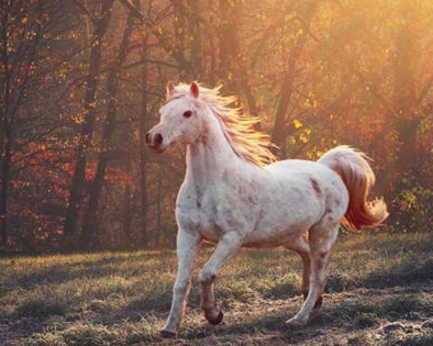 a4ba63f8c9735e307c9169f65cf91b54