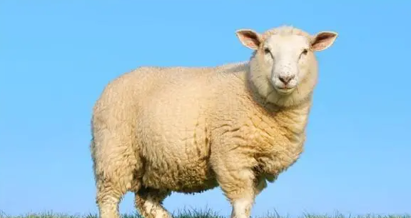 a87dc2510035a51831e4d08b74cbd12e