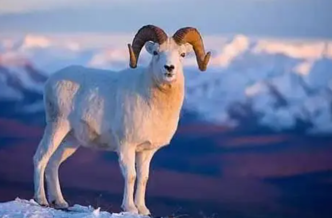 c4e21f18f78590997a504bae4f23ed6a