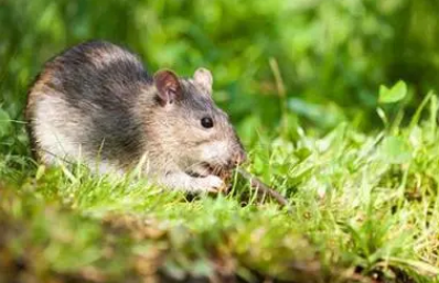 c5e652daf0625dc6739972f6ea7a8afa