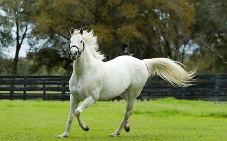 c7abd79fde0f9d78f771cca1ce7f345a