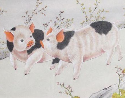 c8859b25357a86639b210c8e862a3ce9