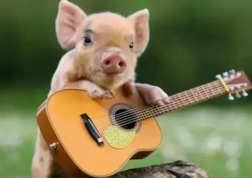 cc3a69b7abc55bc553de0f48c5b67085