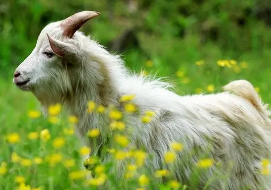 d769c6bf57601c995883367d4453c9d9