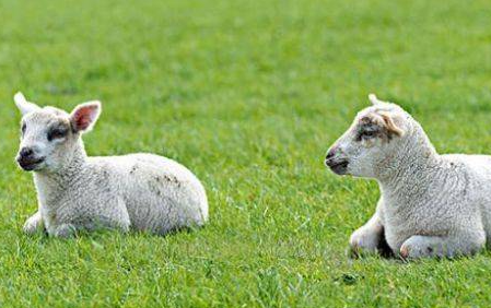 dc1db00f57c9b557d77283e64a3fa6f3