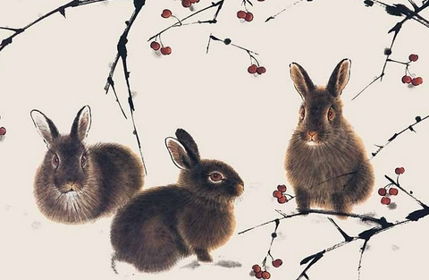 e0b6888a13a7d8d1189b3dbc96396e8c