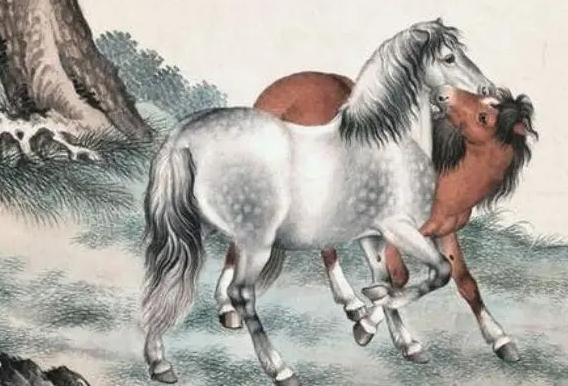 e40ef877a02c6e64f7cc31e40c3f4d02