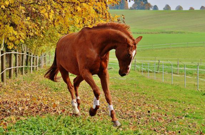 ee6379ce01bd96eb1f62e35271b0e5c0