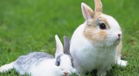 f579b863776af0002339f253b6622342