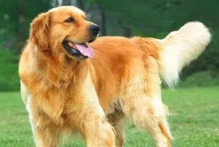 f7015097d8ff9f057e08734a911d2d18