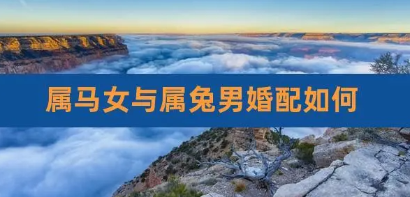 0867b2287733e094874a5a838a65d1f1 0867b2287733e094874a5a838a65d1f1