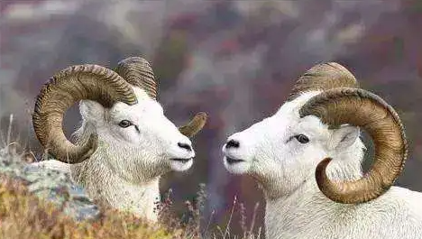 10db6b99576f97f7d37a073b2010a24f 10db6b99576f97f7d37a073b2010a24f