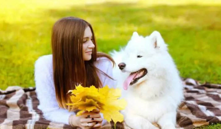 822de3aa1aa22d7e73db55df72069529