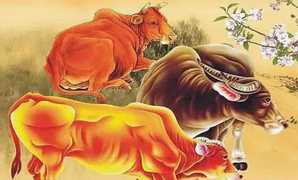 87f0185b4900819d02aed586a53b94f2