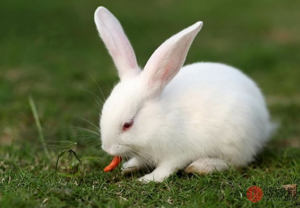 88b86d20f6973bc1736952a3818d3978