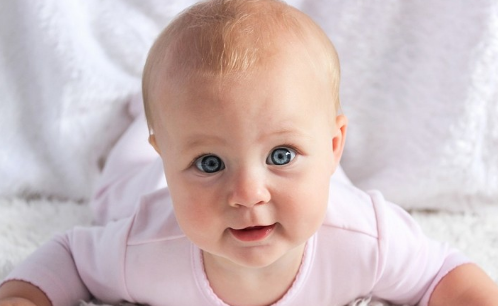 ac81c0f50c62dd2a1d1e2ccb740ba435