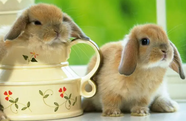 b6e396d687c529887b39196bb48f1568