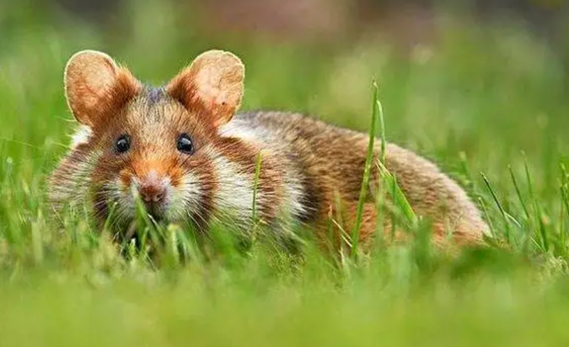 d9d2b497ba916845ad9f2870a8c501ce