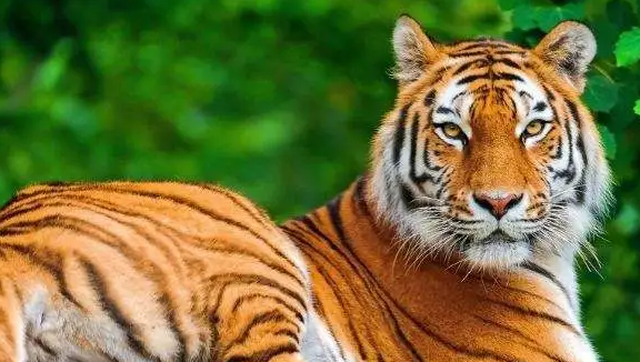 f1c7a637f3ae7a2660c537fb4d0ac862