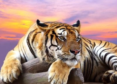 0001012e2ff5c710121b1e166887ebd1 0001012e2ff5c710121b1e166887ebd1