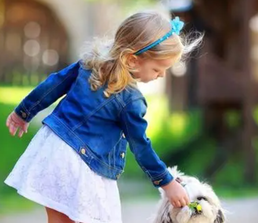 35952e226e367cc7d655715b2bb23996 35952e226e367cc7d655715b2bb23996