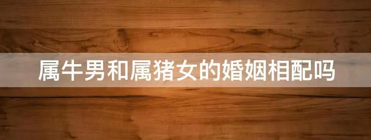 7605445dee8a4fd3732ab90ff52103ca 7605445dee8a4fd3732ab90ff52103ca