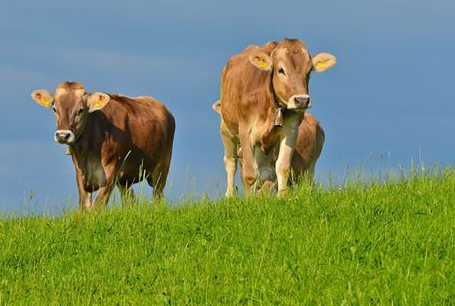 97f05b02192d52bd52819d67c7d0dba0 97f05b02192d52bd52819d67c7d0dba0