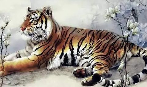 c96db995ac72952ea23a1a3b31a7b5dd c96db995ac72952ea23a1a3b31a7b5dd