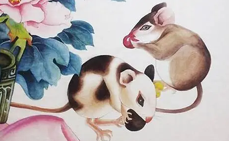 0c825ea5422c2cd40008aa1f17508cbf 0c825ea5422c2cd40008aa1f17508cbf