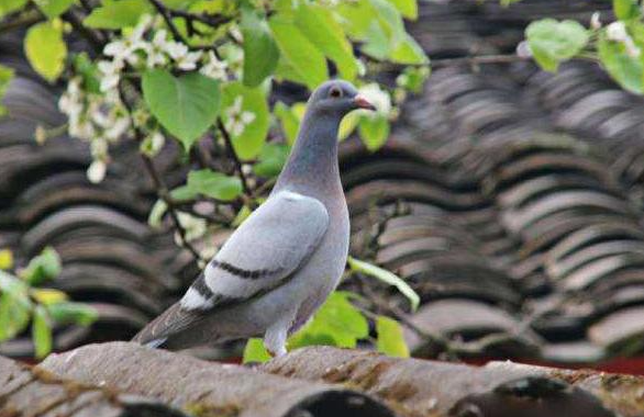 3f06f5e49d092d7c23d172fdaa82b540