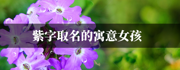 87ab0a2077f7a28e312aa2d2e3ad975c