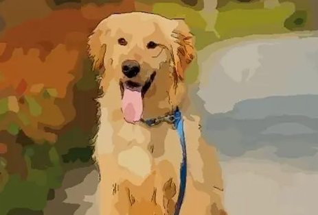 97346a425c2b1cb86401ca4613ec3ee9