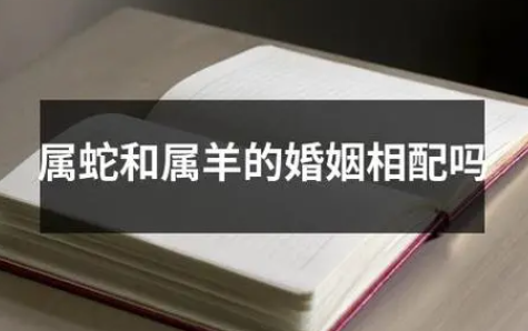 a1a106c89f09e4ba620a8b853343755e