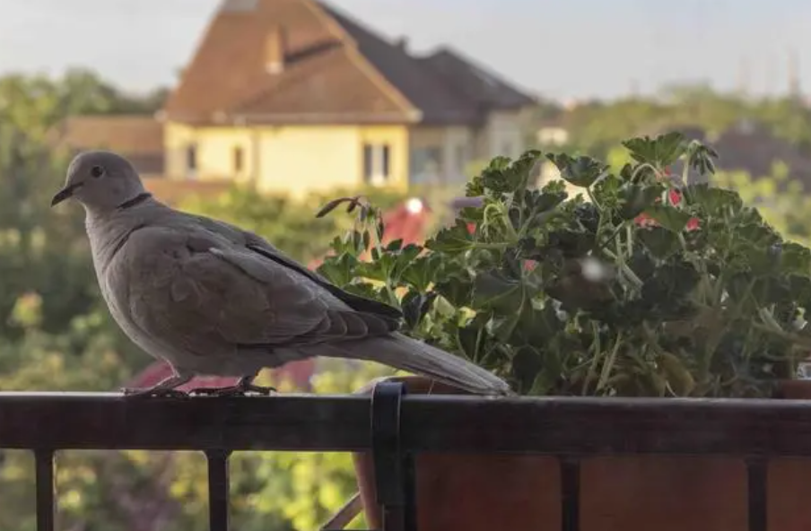 a4c48d8efa98f452da32113f85be8427