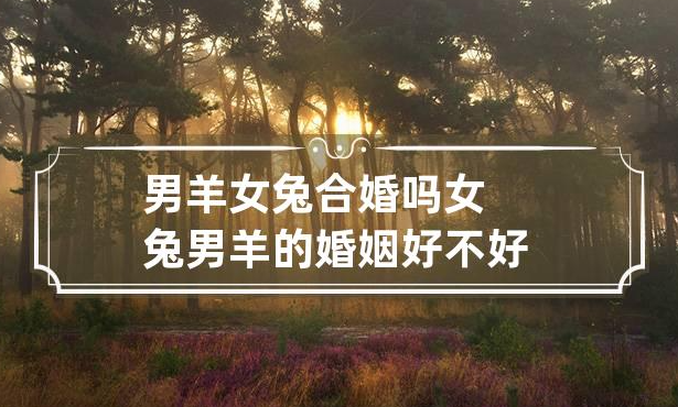 b7d1388770341997e7f52885aa66336c