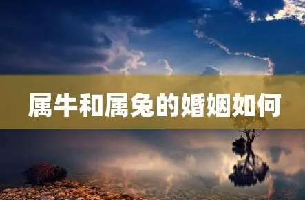 bc19da846806894616882b2c0514b4ea