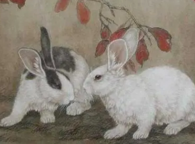 353f16ed3efcc10df82767650a5abe64 353f16ed3efcc10df82767650a5abe64