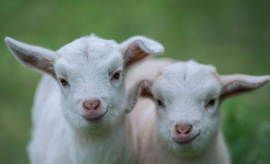 431240eb1dbd3cd081601feeab94be47 431240eb1dbd3cd081601feeab94be47