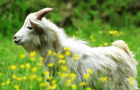 8c22521891529832a9acb0978fd6ecaf 8c22521891529832a9acb0978fd6ecaf