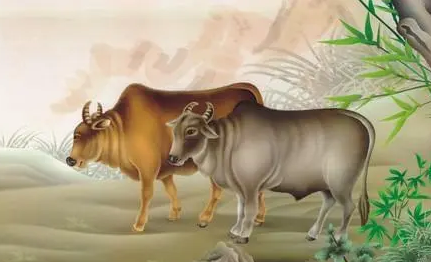 b0100ff18e172d0016b5c5f12a1fa571 b0100ff18e172d0016b5c5f12a1fa571